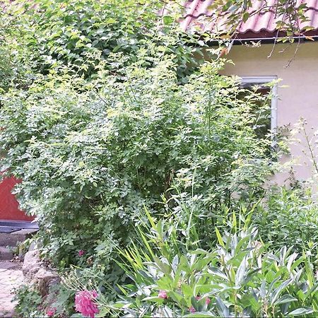 1 Bedroom Beautiful Home In Tomelilla Exterior foto